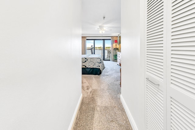 hallway featuring carpet flooring