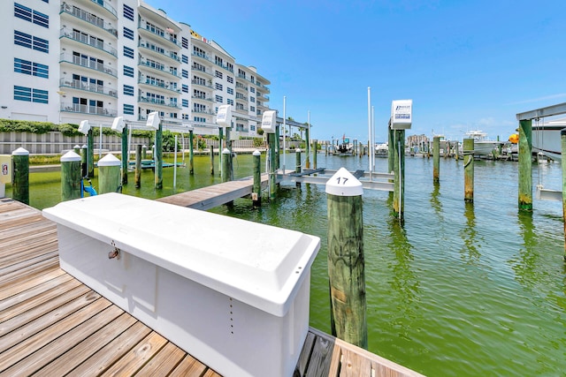 dock area with a water view