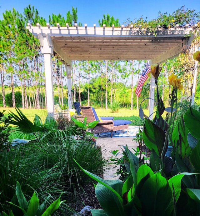 view of patio featuring a pergola