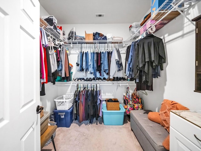 spacious closet with carpet