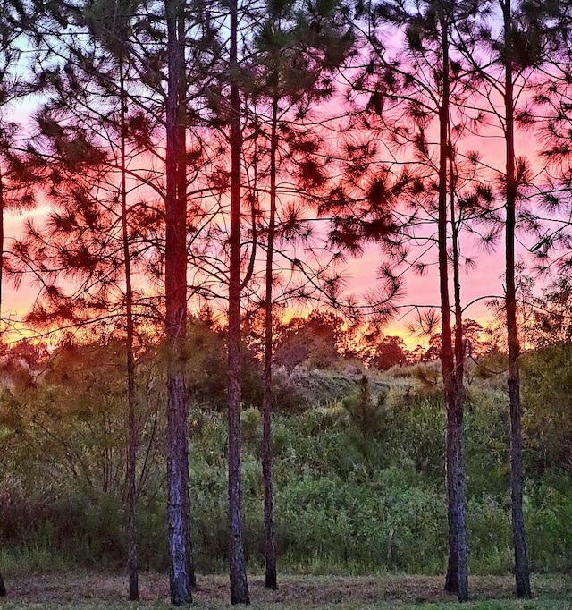 view of nature at dusk