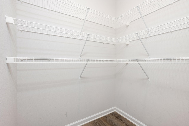 walk in closet with hardwood / wood-style flooring