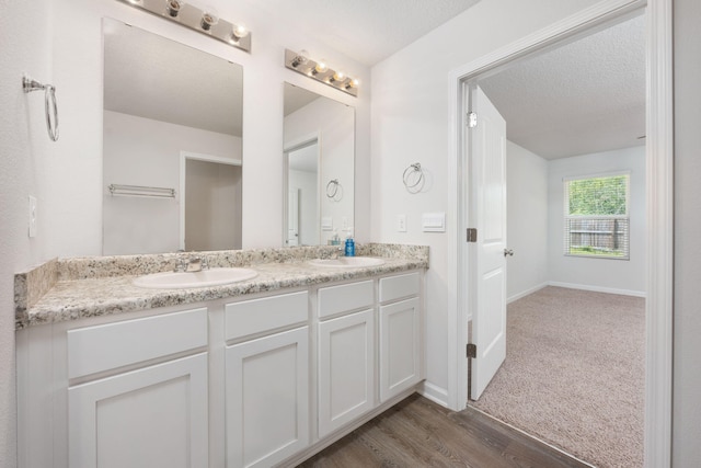 bathroom featuring wood-type flooring and dual bowl vanity