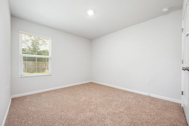 carpeted spare room with plenty of natural light