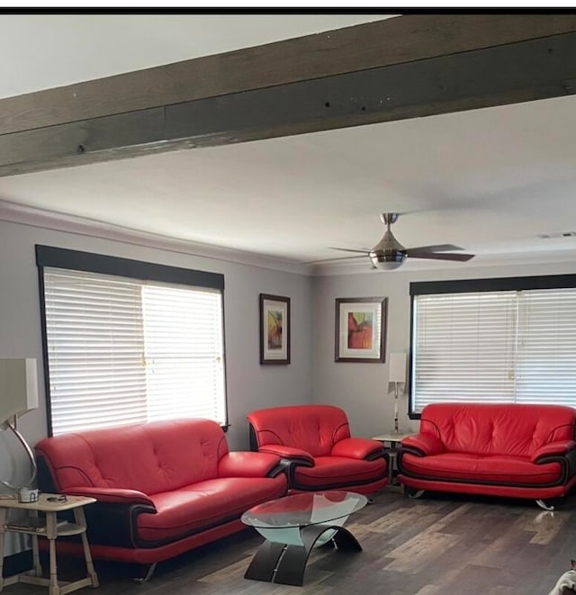 living room featuring ceiling fan, beamed ceiling, ornamental molding, and hardwood / wood-style flooring