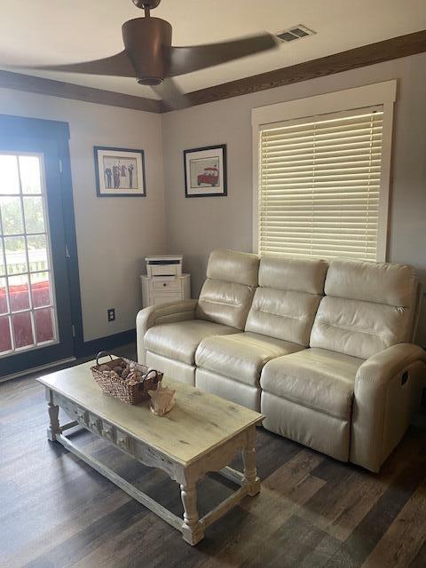 living room featuring ceiling fan and wood-type flooring