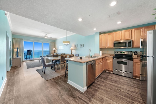 kitchen with a sink, appliances with stainless steel finishes, light brown cabinets, dark wood-style flooring, and a peninsula