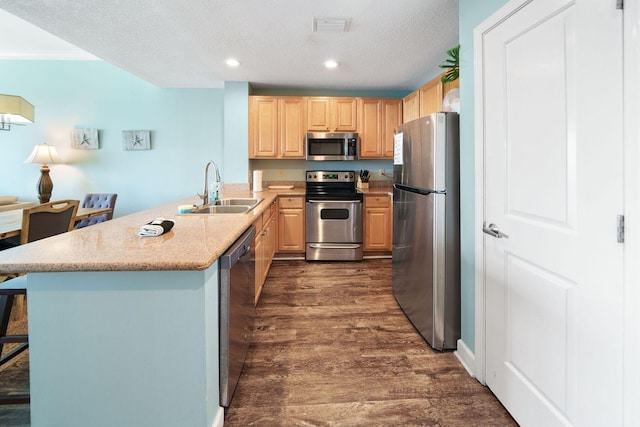 kitchen featuring a sink, dark wood-style flooring, stainless steel appliances, light brown cabinetry, and a peninsula