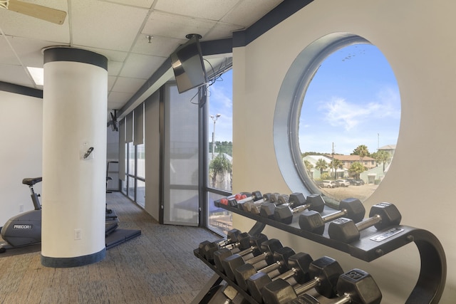 gym featuring a healthy amount of sunlight, carpet, and a drop ceiling