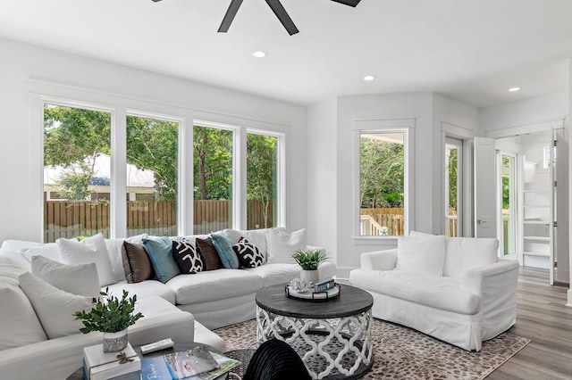 living room featuring ceiling fan and light wood-type flooring