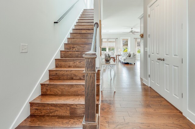 stairway featuring ceiling fan and wood-type flooring