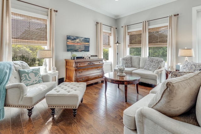 living room featuring ornamental molding and wood-type flooring