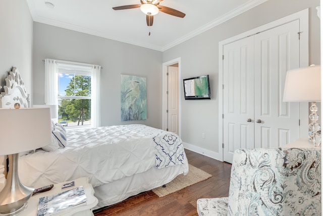 bedroom with ceiling fan, crown molding, dark wood-type flooring, and a closet