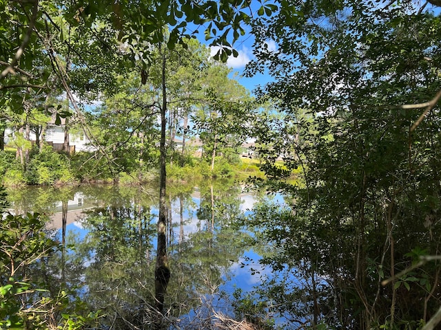 Listing photo 3 for LOT1 Marsh Lndg S, Freeport FL 32439