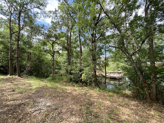 LOT1 Marsh Lndg S, Freeport FL, 32439 land for sale