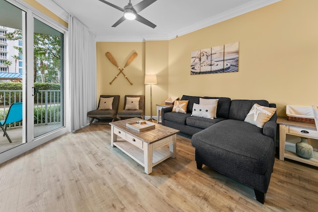 living room featuring ceiling fan, light hardwood / wood-style flooring, and crown molding