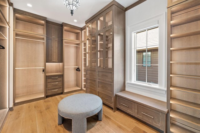 spacious closet with light hardwood / wood-style flooring