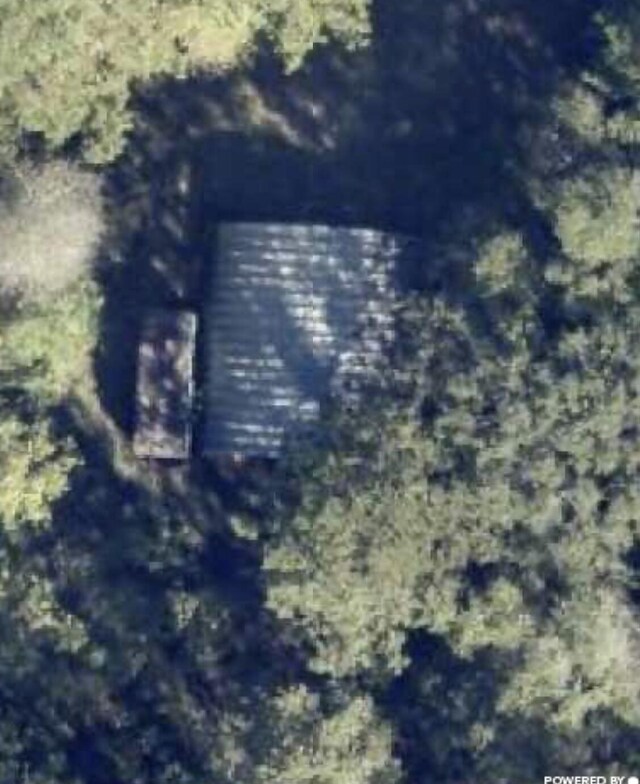 XX Lester Price Rd, Ponce De Leon, FL 32455 - photo 3