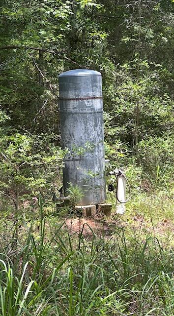 XX Lester Price Rd, Ponce De Leon, FL 32455 - photo 5