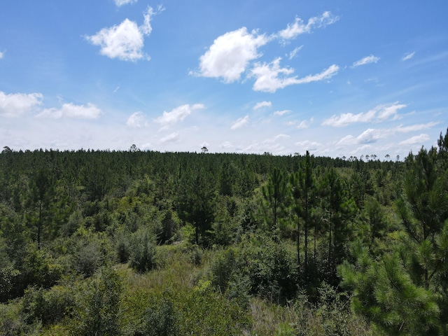 A-12 Munson Hwy, Milton FL, 32570 land for sale