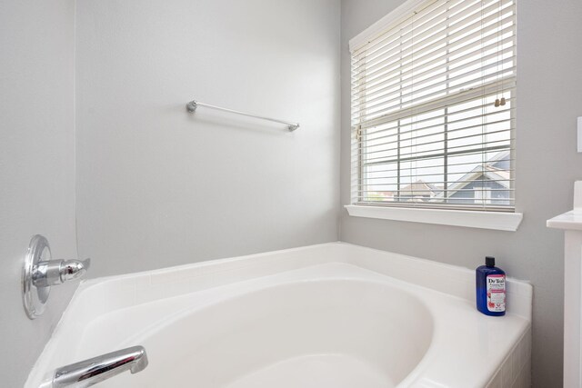 bathroom featuring a washtub