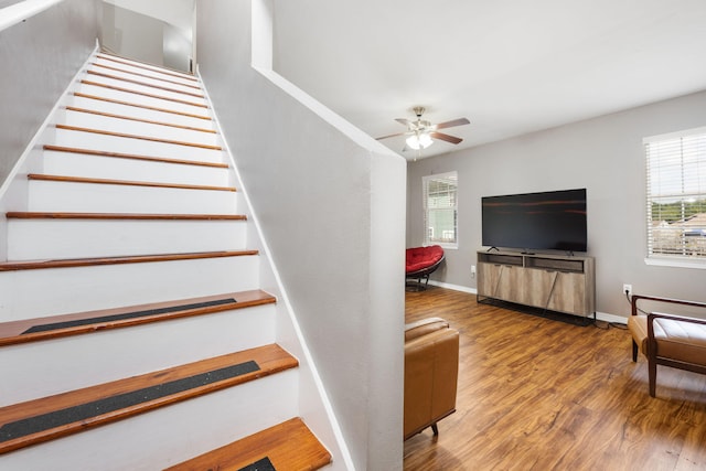 stairway with wood-type flooring and ceiling fan