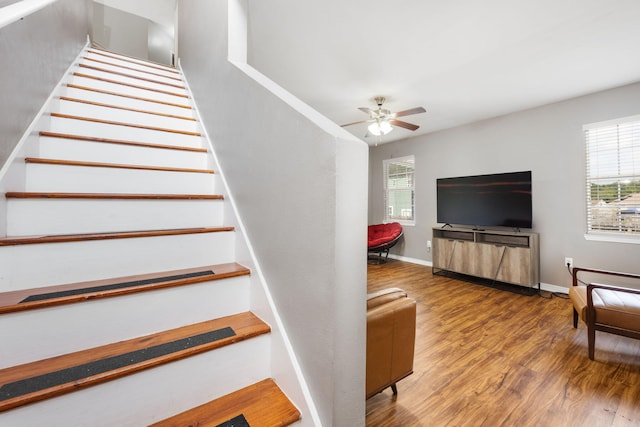 staircase featuring wood finished floors, a wealth of natural light, and baseboards
