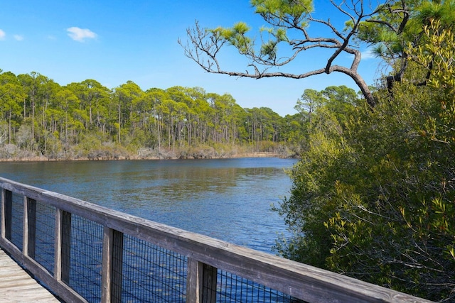 dock area with a water view