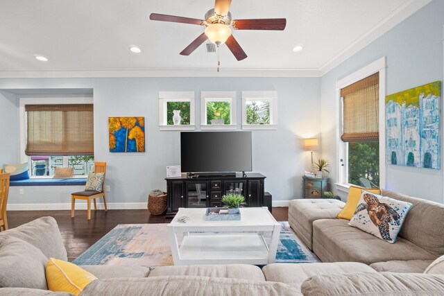 living room featuring ceiling fan, dark wood-type flooring, and ornamental molding