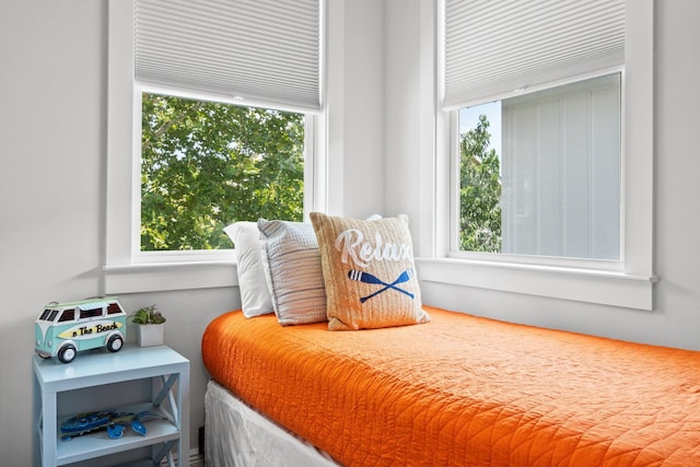 bedroom with multiple windows