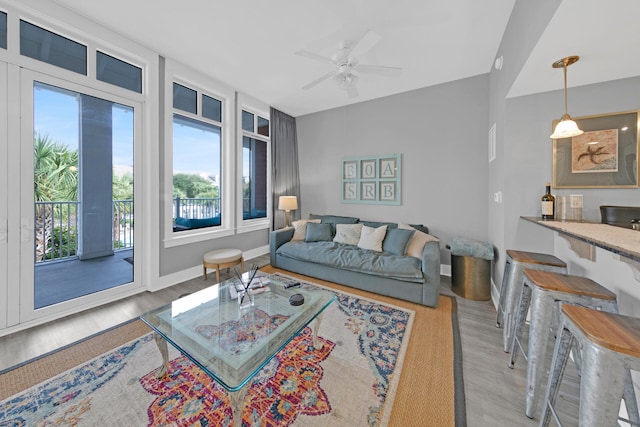 living room featuring ceiling fan and wood-type flooring