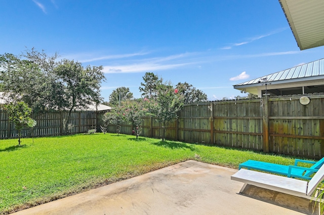 view of yard featuring a patio area