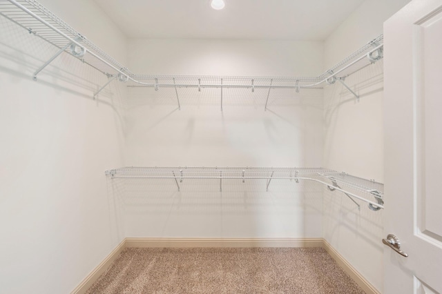 76 Azalea Dr, Freeport, FL 32439 - spacious closet with carpet