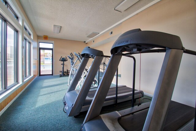 exercise room with carpet and a textured ceiling