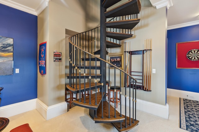 stairway with crown molding and carpet