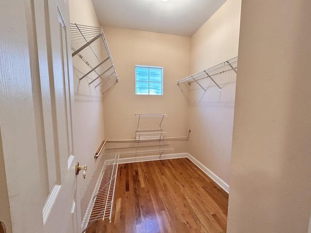 walk in closet featuring hardwood / wood-style flooring