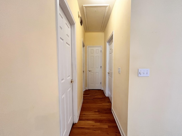 hall featuring dark wood-type flooring