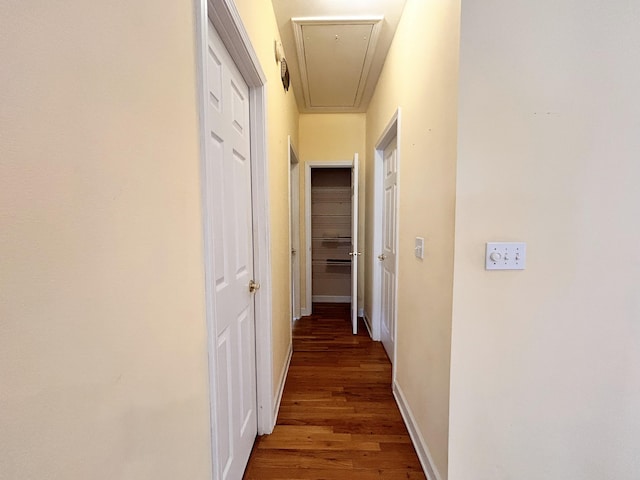 hallway with dark wood-type flooring