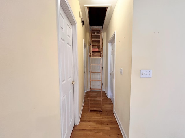 hall featuring wood-type flooring