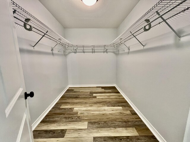 spacious closet with hardwood / wood-style flooring