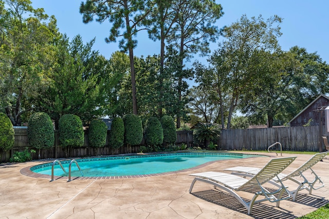 view of pool with a patio