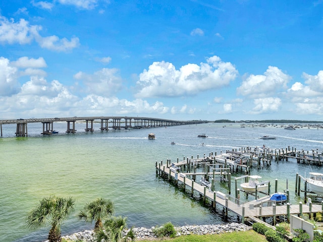 dock area with a water view