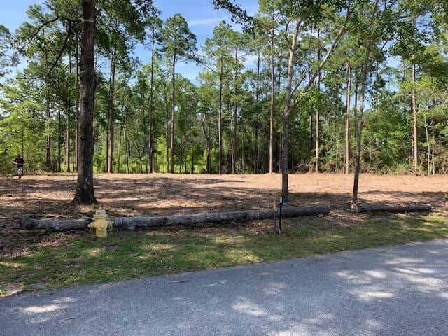 0000 Sweetwater Ln, Freeport FL, 32439 land for sale