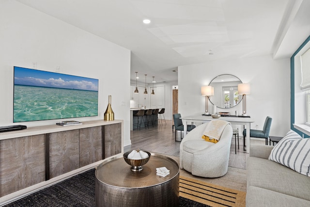 living room with hardwood / wood-style flooring