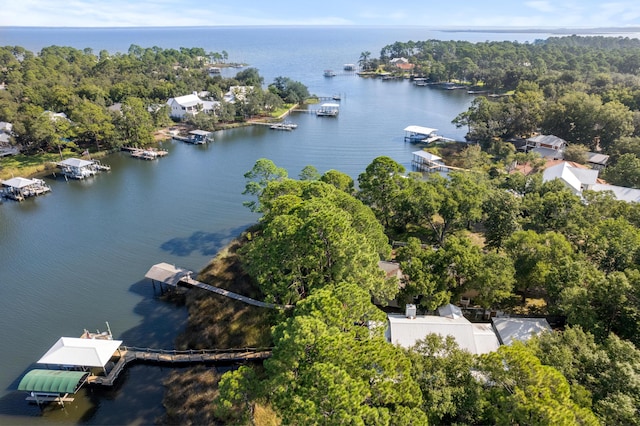 bird's eye view with a water view and a wooded view