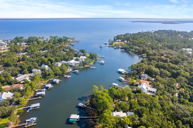 aerial view with a water view and a view of trees