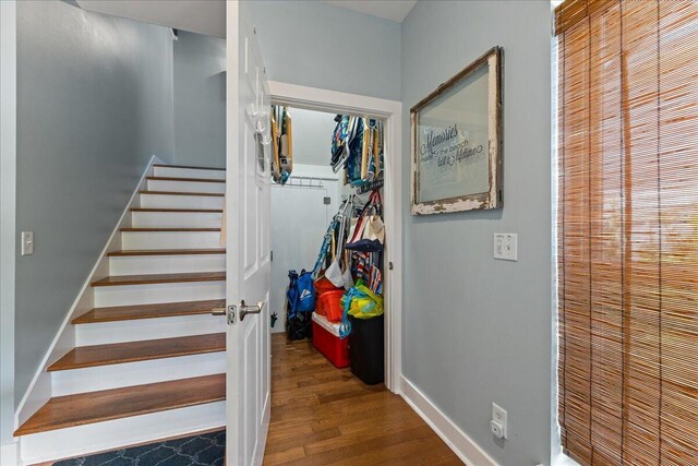 stairway with wood-type flooring