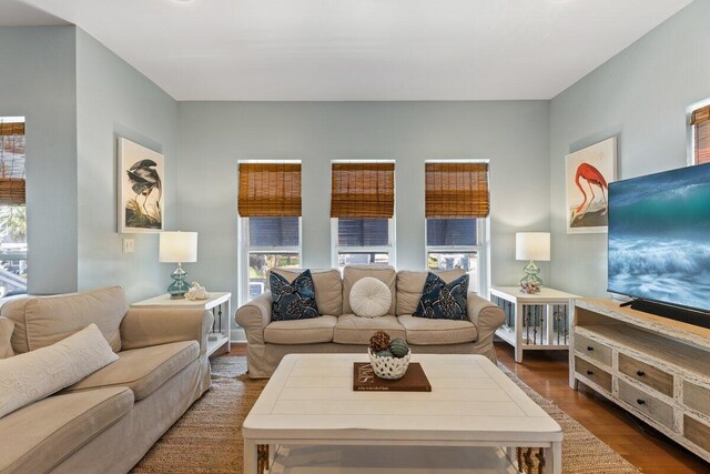 living room with dark hardwood / wood-style flooring and a wealth of natural light