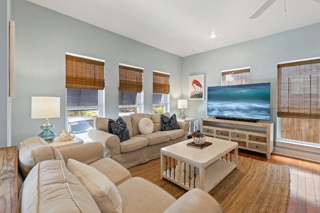 living room with ceiling fan and hardwood / wood-style floors