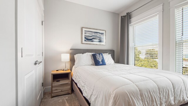 carpeted bedroom featuring multiple windows